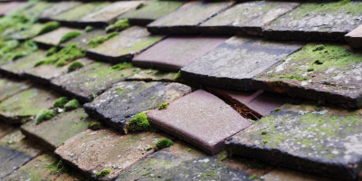 Gilwern roof repair costs